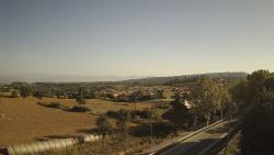 Webcams