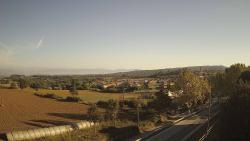 Webcams