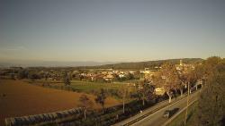 Webcams
