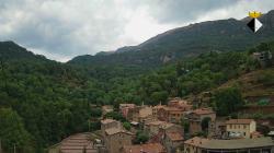 Webcams