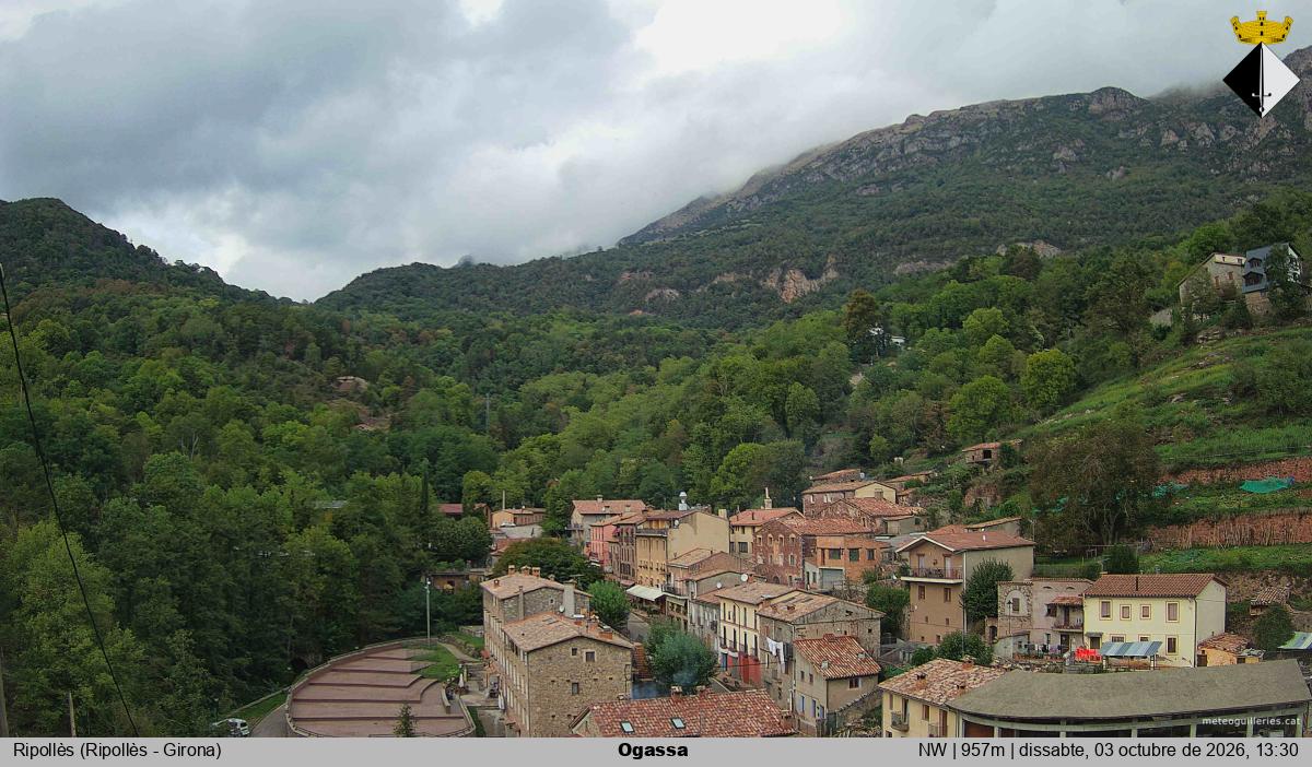 Ogassa