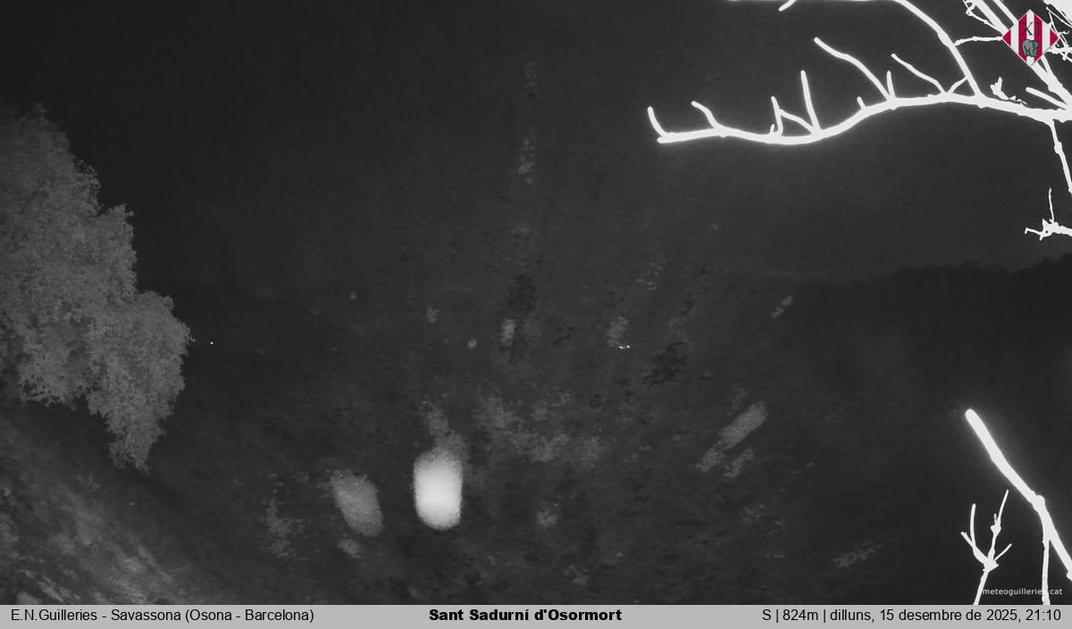 Sant Sadurní d'Osormort 