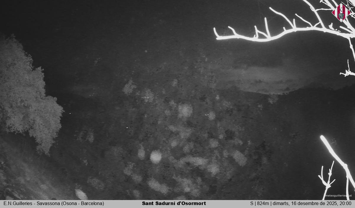 Sant Sadurní d'Osormort 