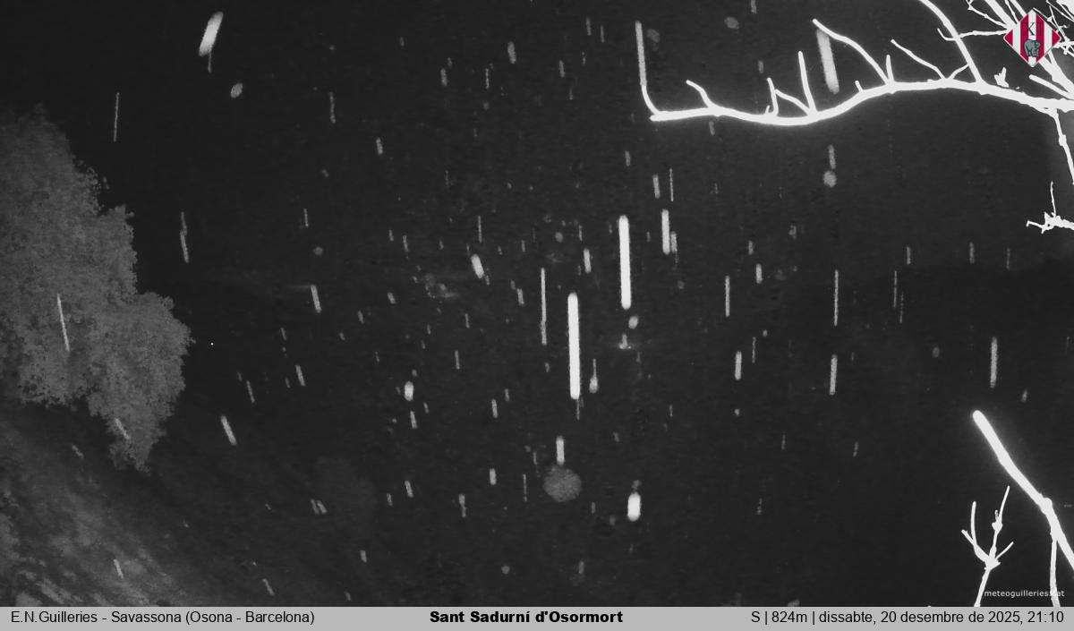 Sant Sadurní d'Osormort 