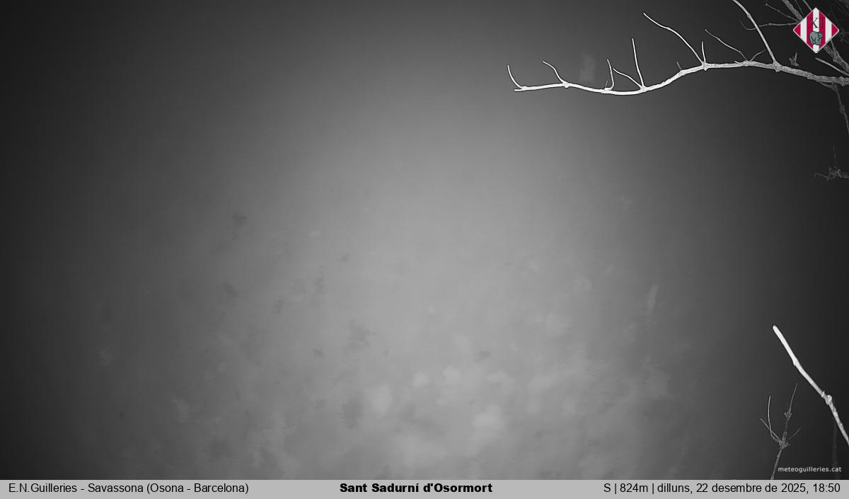 Sant Sadurní d'Osormort 