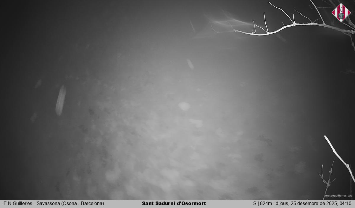 Sant Sadurní d'Osormort 