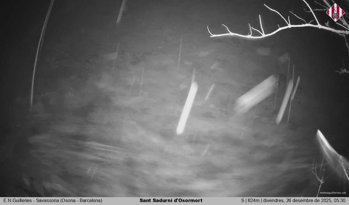 Sant Sadurní d'Osormort 