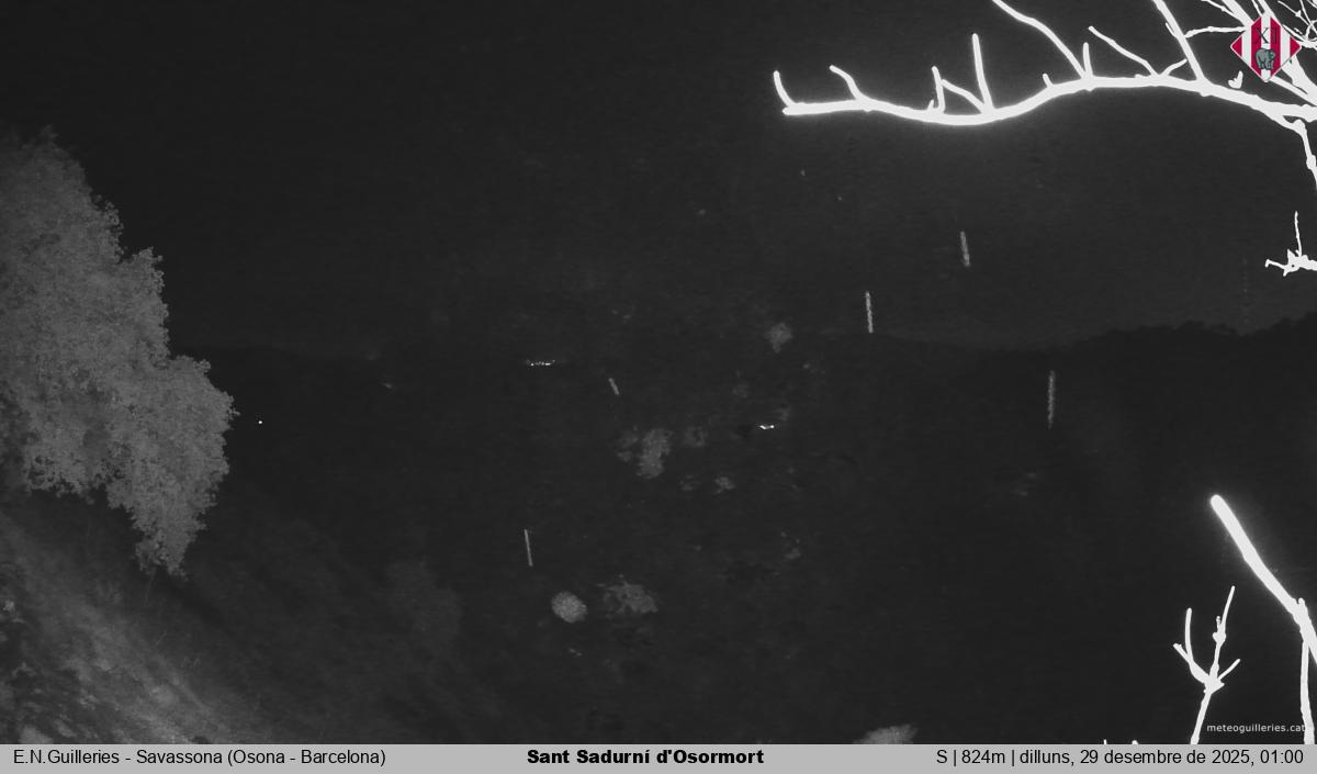 Sant Sadurní d'Osormort 