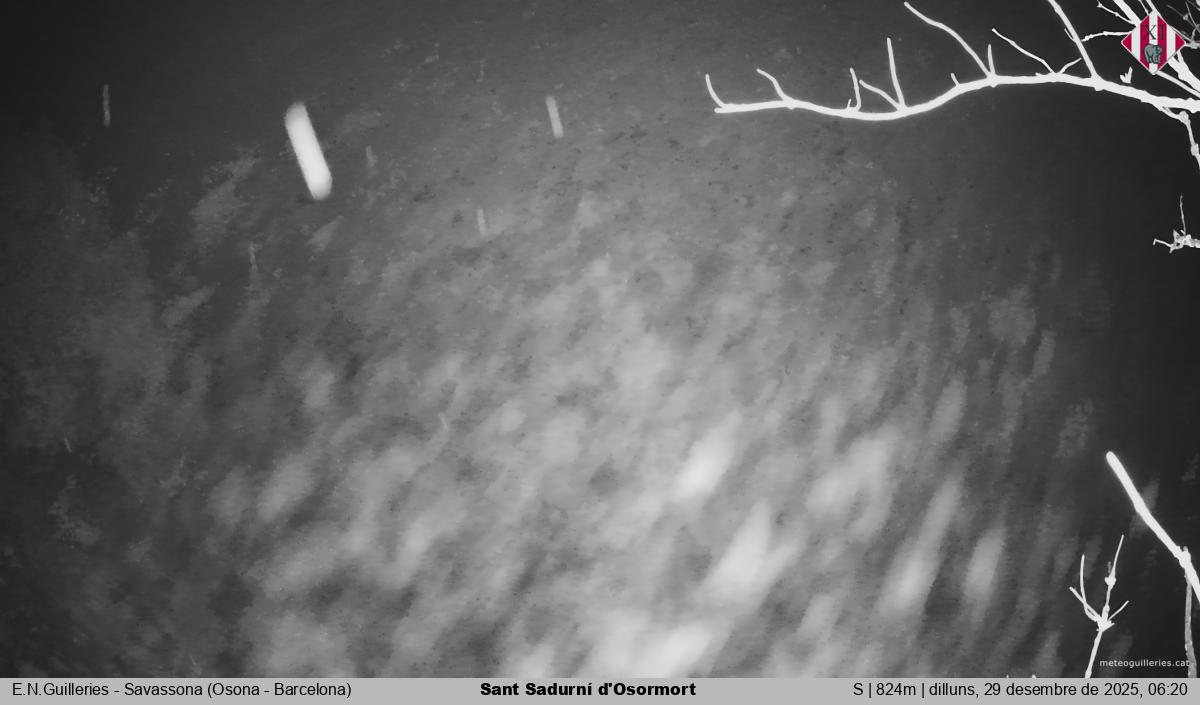 Sant Sadurní d'Osormort 