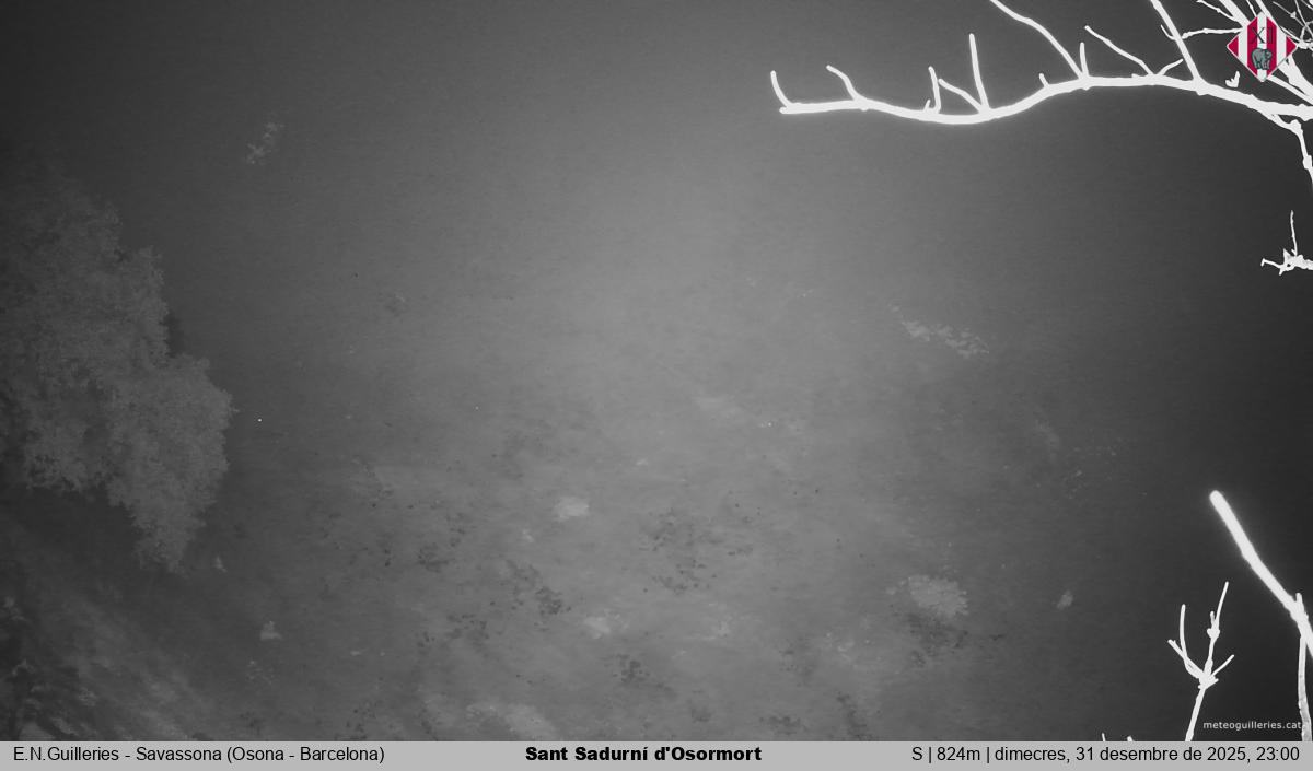 Sant Sadurní d'Osormort 