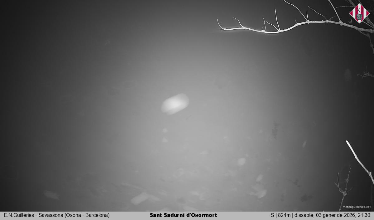 Sant Sadurní d'Osormort 