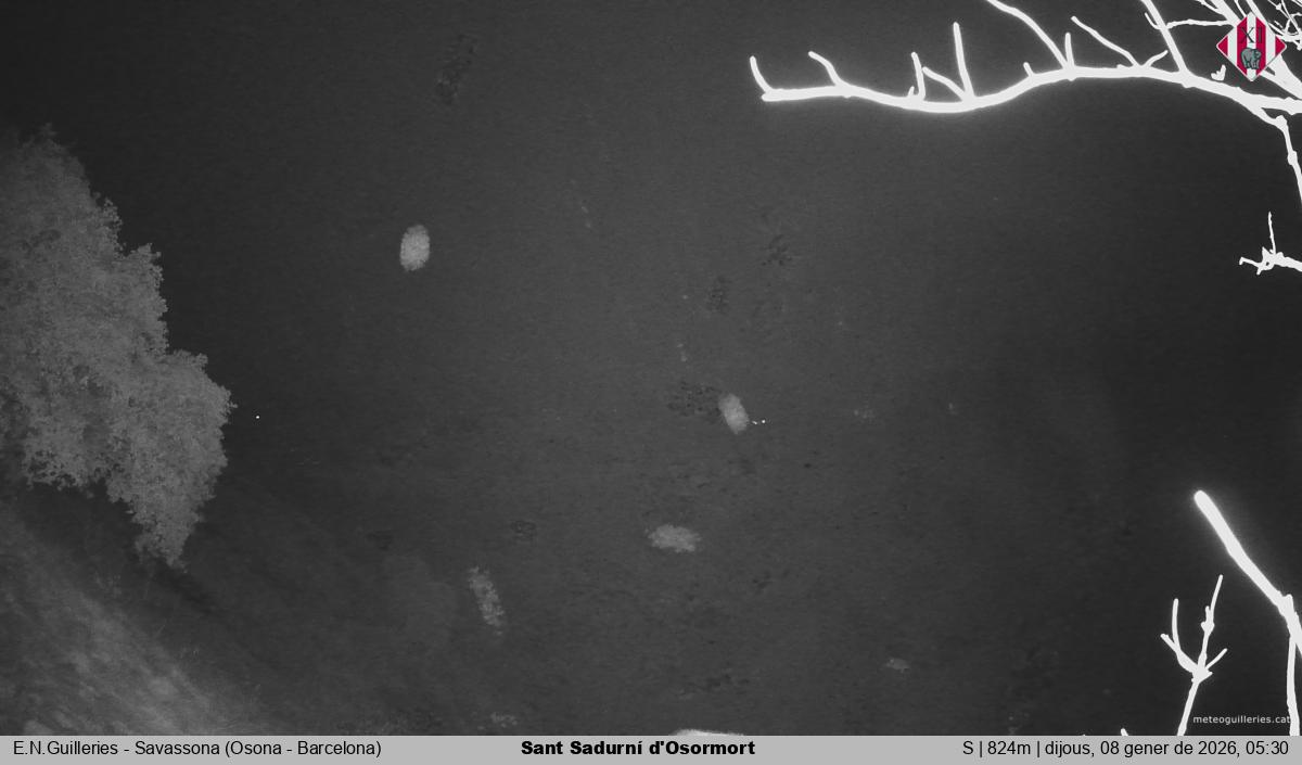 Sant Sadurní d'Osormort 