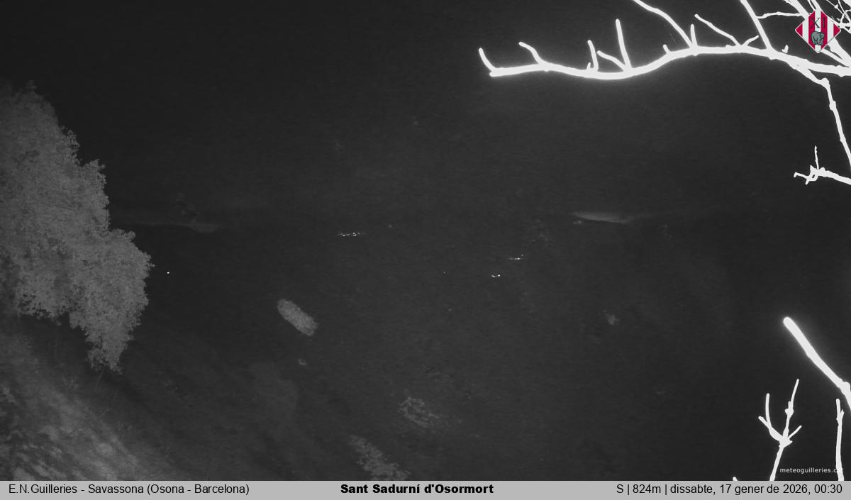 Sant Sadurní d'Osormort 