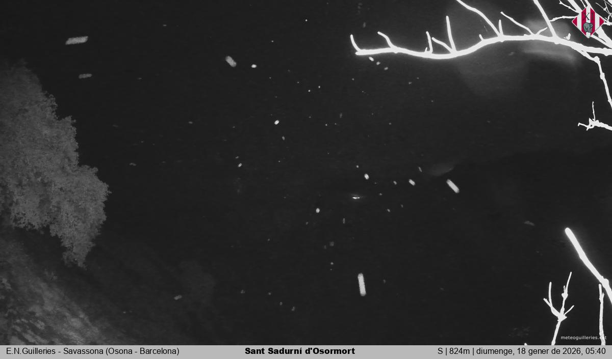 Sant Sadurní d'Osormort 