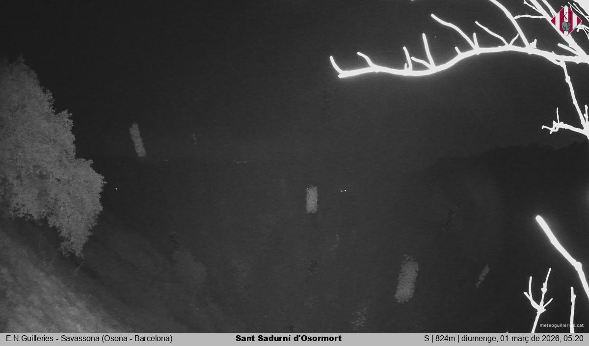 Sant Sadurní d'Osormort 