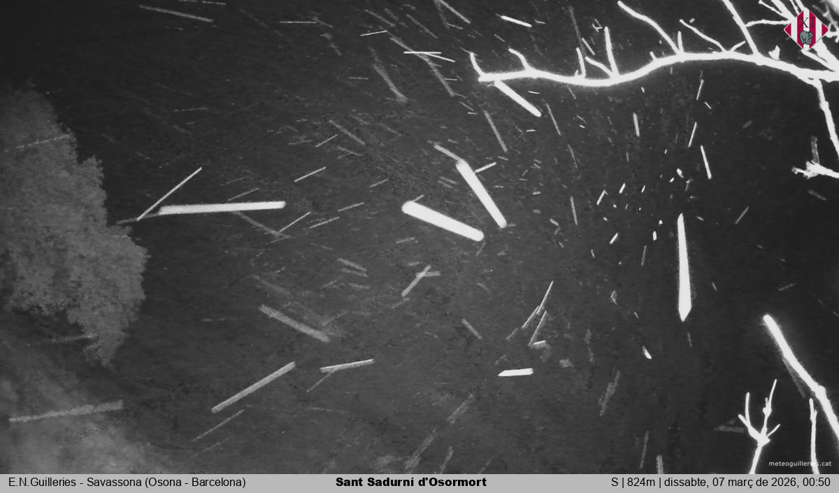 Sant Sadurní d'Osormort 