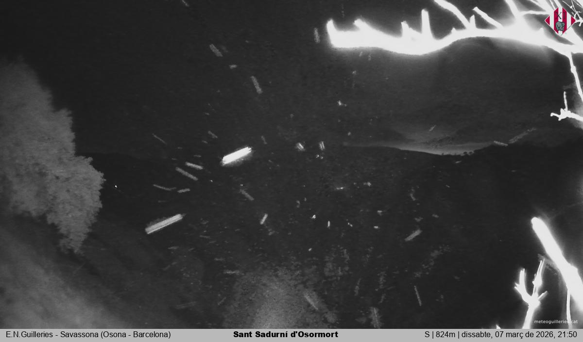 Sant Sadurní d'Osormort 