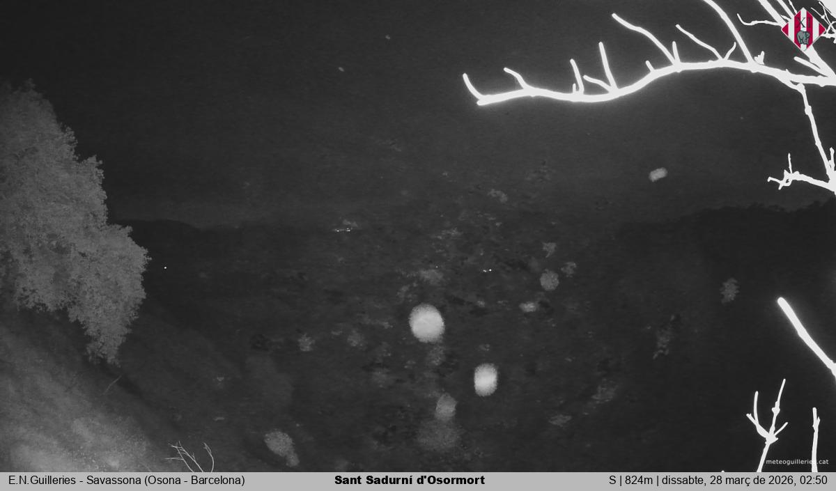 Sant Sadurní d'Osormort 