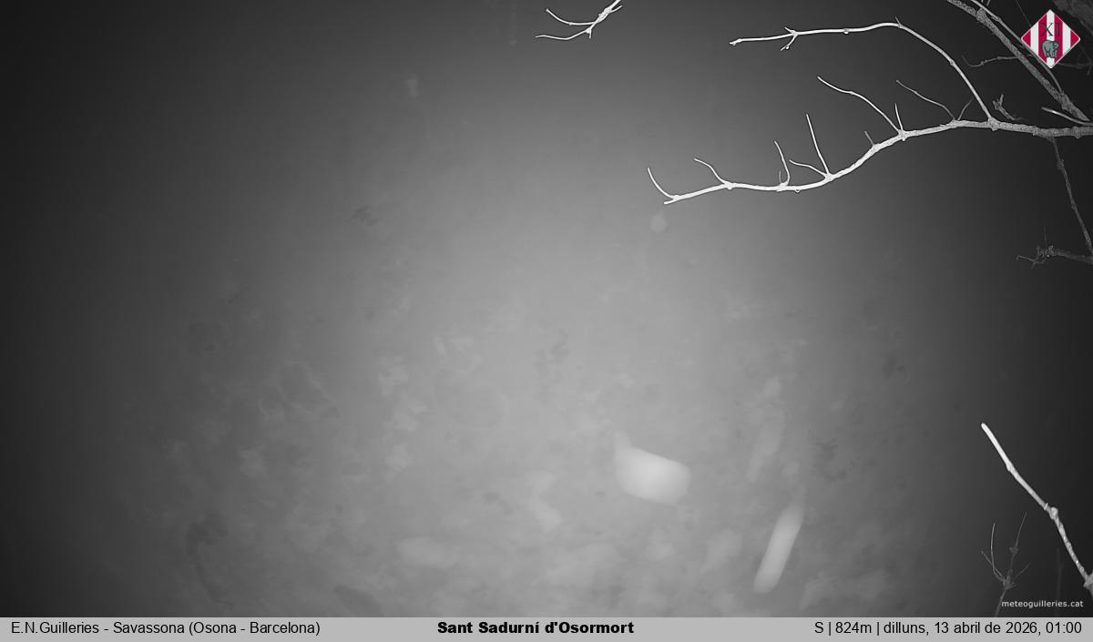 Sant Sadurní d'Osormort 