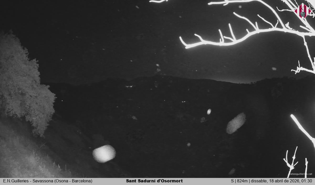 Sant Sadurní d'Osormort 