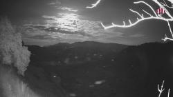 Webcams