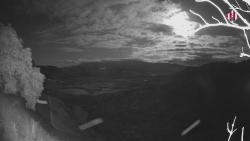 Webcams