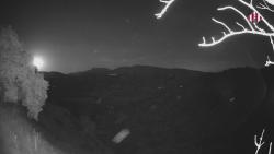 Webcams