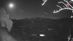 Webcams