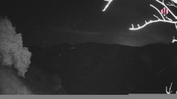 Webcams
