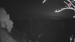 Webcams