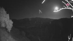 Webcams