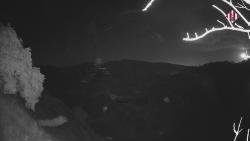 Webcams