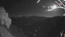 Webcams