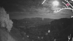 Webcams