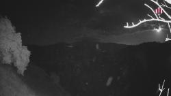 Webcams