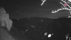 Webcams