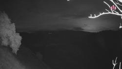 Webcams