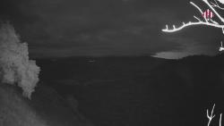 Webcams