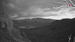 Webcams