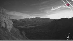 Webcams