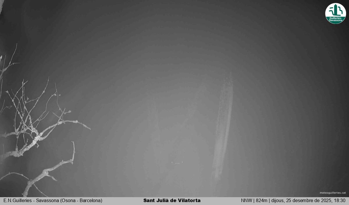 Sant Julià de Vilatorta