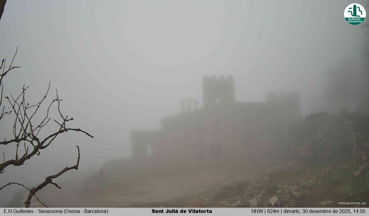 Sant Julià de Vilatorta