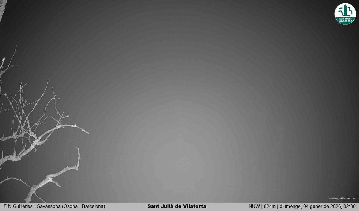 Sant Julià de Vilatorta