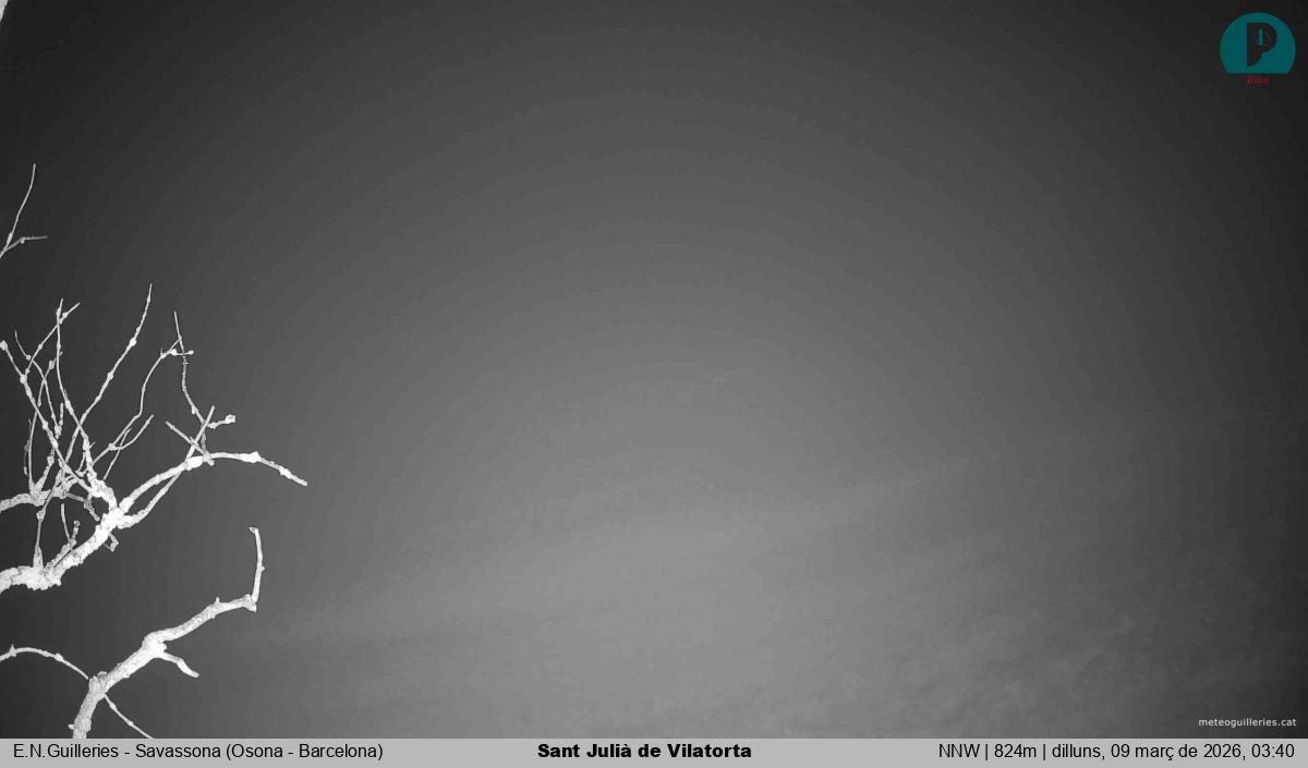 Sant Julià de Vilatorta