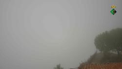 Webcams