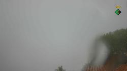 Webcams