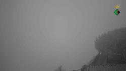 Webcams
