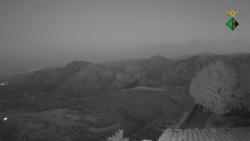 Webcams