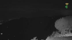 Webcams