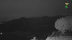 Webcams